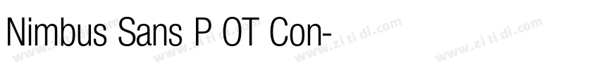 Nimbus Sans P OT Con字体转换 Nimbus Sans P OT Con字体转换